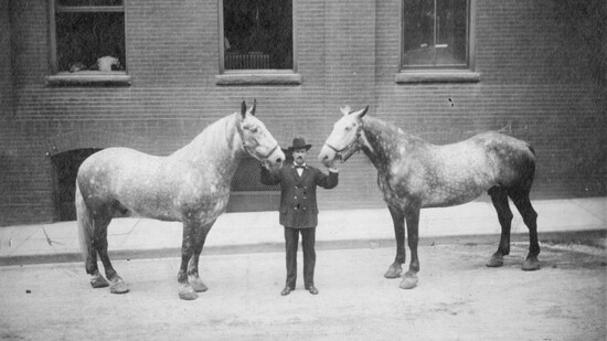 Fire Chief Sam Boyd with Ned and George, 1900 (McClung Historical Collection)