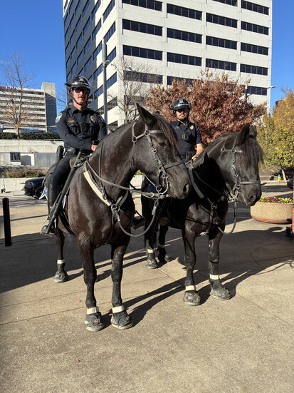 Knoxville’s Mounted Patrol Unit in 2025 (KHP)