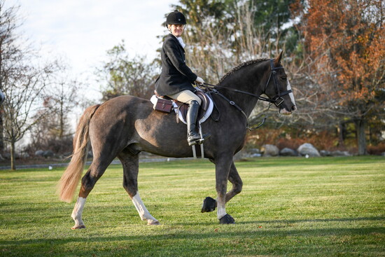 Michelle Boniface St. John, riding. Photo courtesy of Bonita Farm.