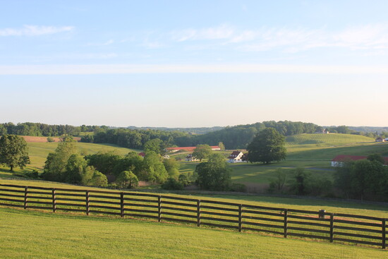 Bonita Farm. Photo courtesy of Bonita Farm.