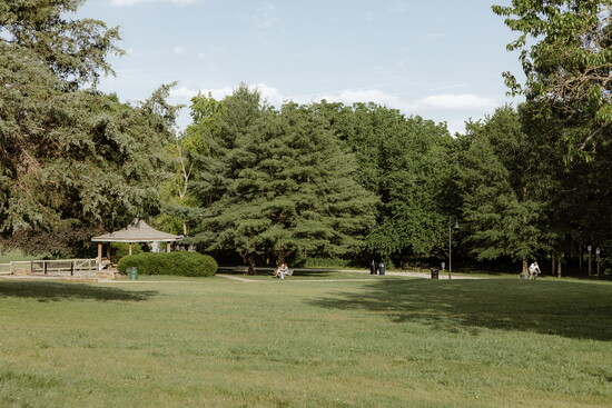 Wilson Park Trails