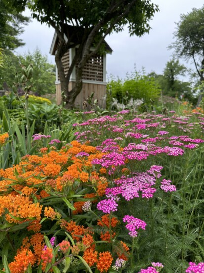 One of Jay Petrow's gardens. Photo by Jay Petrow.