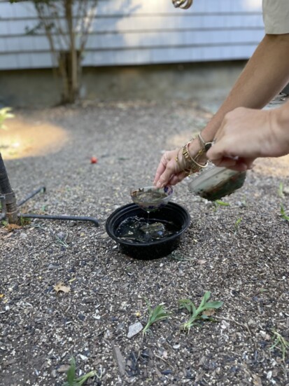 Lori Cochran demonstrates one of her small-animal water stations. Photo by Designport.