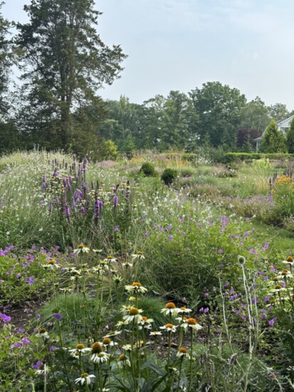 Garden meadows by Allison Feuer Designs. Photo by Allison Feuer.