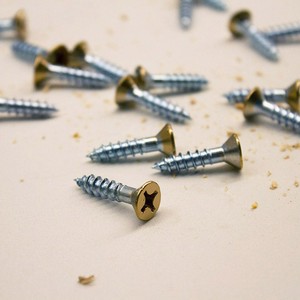 4_gold-screws-300?v=1