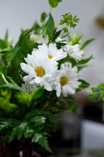 Daisies are one of Joyner’s favorite filler flowers.