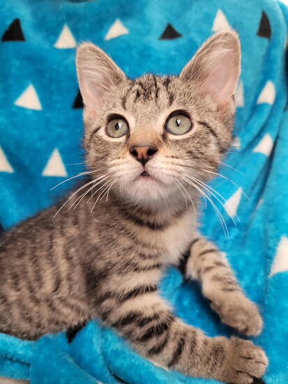 Isla (Photo: Dr. Lisa Pohlman)