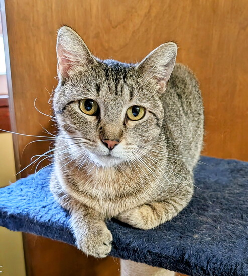 Tabitha (Photo: Krystal Summers)