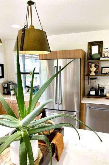Finishing off the space, live aloe and orchids helped bring nature inside.