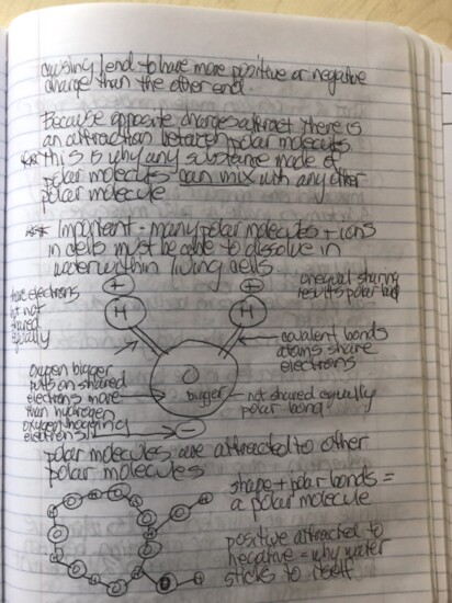 Biology notes.