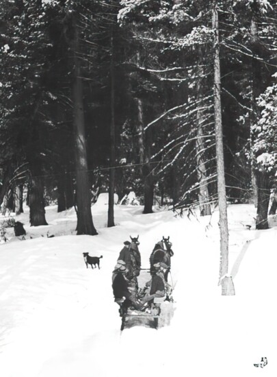 Sled to Blackwell Hill