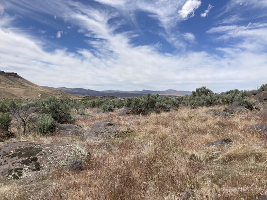 Celebration Park provides views aplenty - geologic structures and the Snake River.