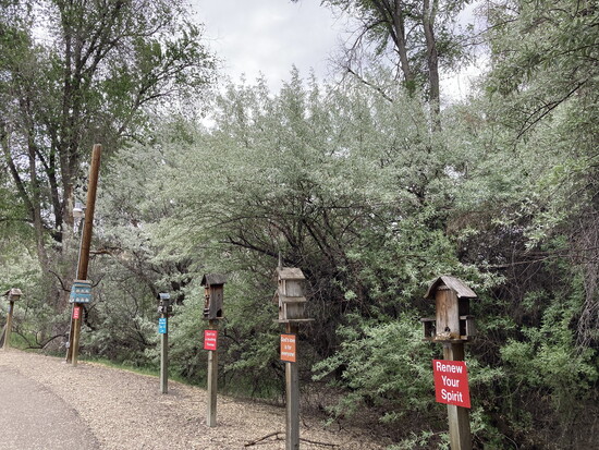Cleo's: Hundreds of birdhouses and inspirational signs line the walking trails.