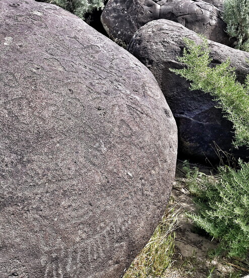 Petroglyph Trail