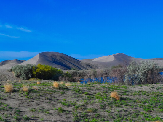 Bruneau Sand Dunes' lakes invite fishing trips.