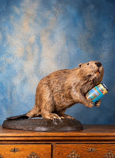 The Beaver
