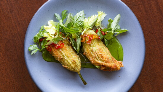 Bludorn, Squash Blossom.