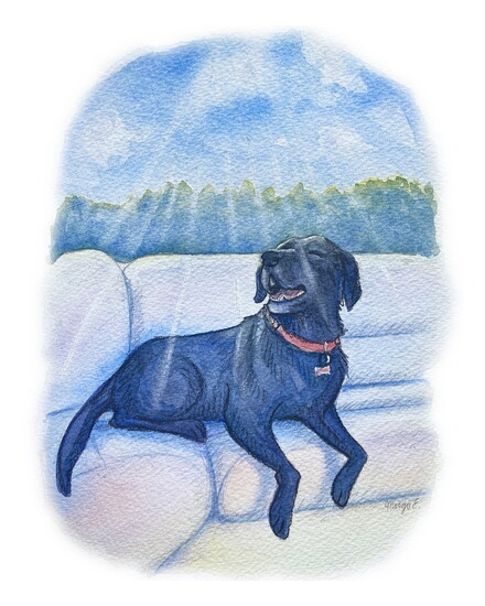 Mindy's Lab