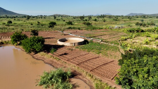 Community garden