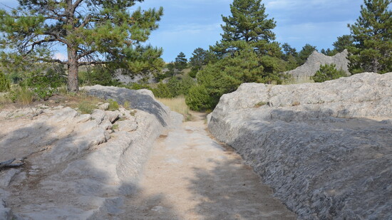 Wagon trail ruts along the Oregon Trail.