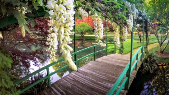 Magical bridge walks to take your breath away.