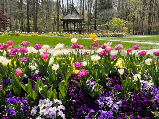 Sit in the gazebo to ponder the beauty around you.