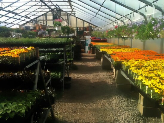 Hillside Nursery Flower Greenhouse