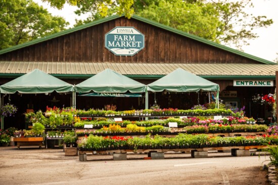 Linvilla Orchards Market Front