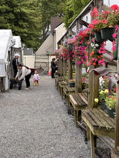 Outdoors at Miller Greenhouses