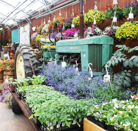 Wolff's Garden Display