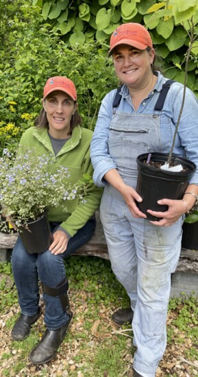 Redbud partners Julie Snell and Lisa McDonald Hanes