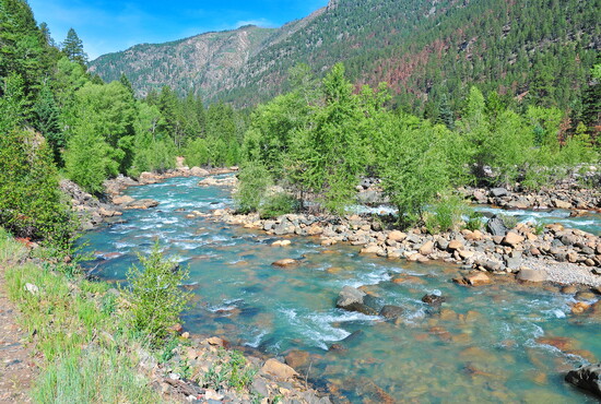 Animas River