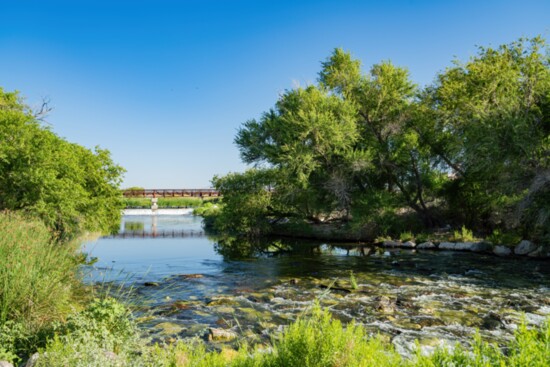 Wetlands 