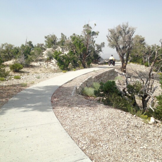 Desert Overlook Trail