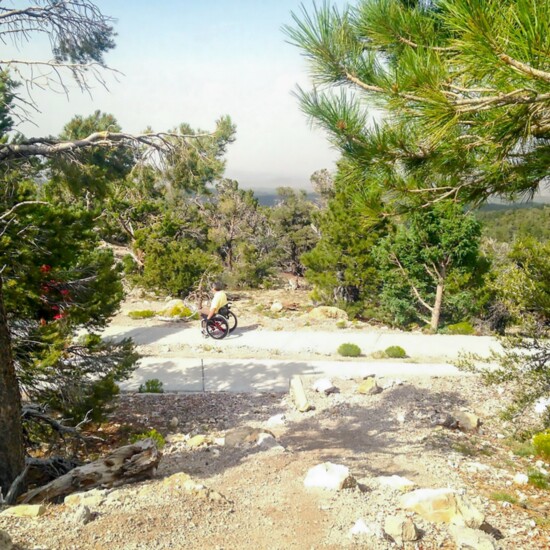 Desert Overlook Trail