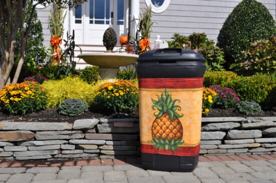 Pineapple Pantz