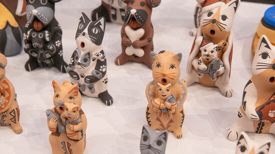 Darrick Tsosie Animal Storytellers