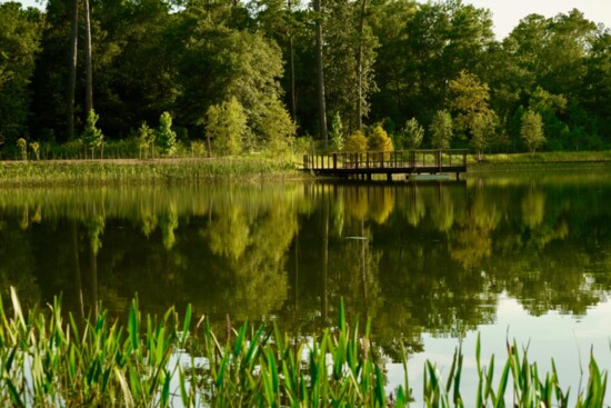 Wetlands in Hines Lake in Clay Family Eastern Glades.