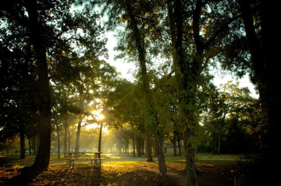 Memorial Park at sunrise. 