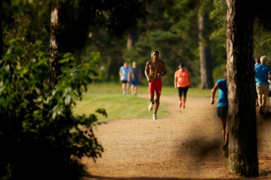 Seymour Lieberman Exercise Trail. 