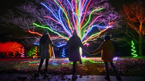 Internationally Acclaimed Lightscape Eyes Houston Botanical Garden This Holiday Season
