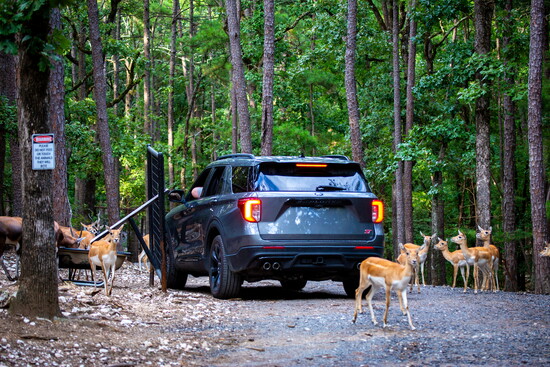 Beavers Bend Safari Park