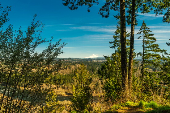 Milo McIver State Park