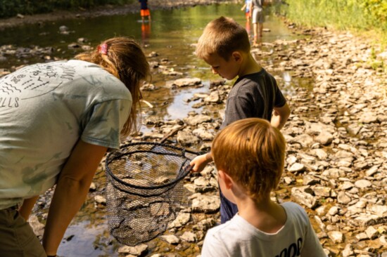 Sarah Lockridge, lead elementary teacher at Countryside Montessori, helps a student identify what's in his fishing net.