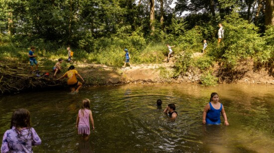 Countryside Montessori Day School's Forest School group plays in the swimming hole.