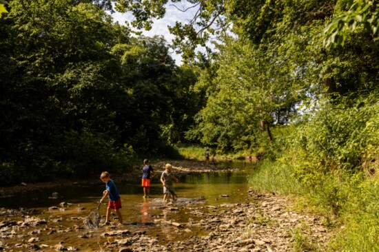 Countryside Montessori Forest School students fish in the creek.