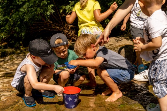 Boys inspect crawdads in Line Creek during a toddler meet-up for the North KC Forest Playgroup. 