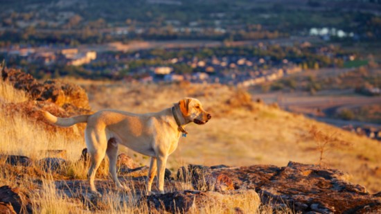 Exploring the Foothills