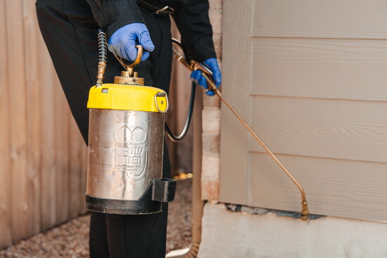 Truly Nolen team treating perimeter of client's house