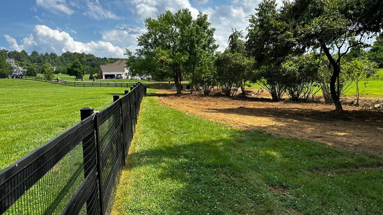 After: Well-groomed land unlocks potential.